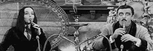 tatebriones's profile banner image