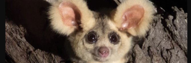 Calliope, living in interesting times banner