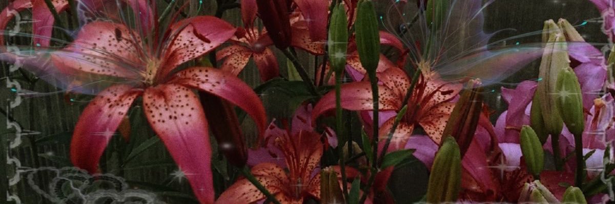 ulii ⟡ Ψ 土 banner