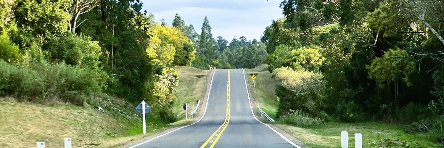 Eduardo Mangarelli banner