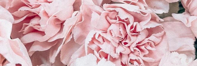 endlesslycat's profile banner image