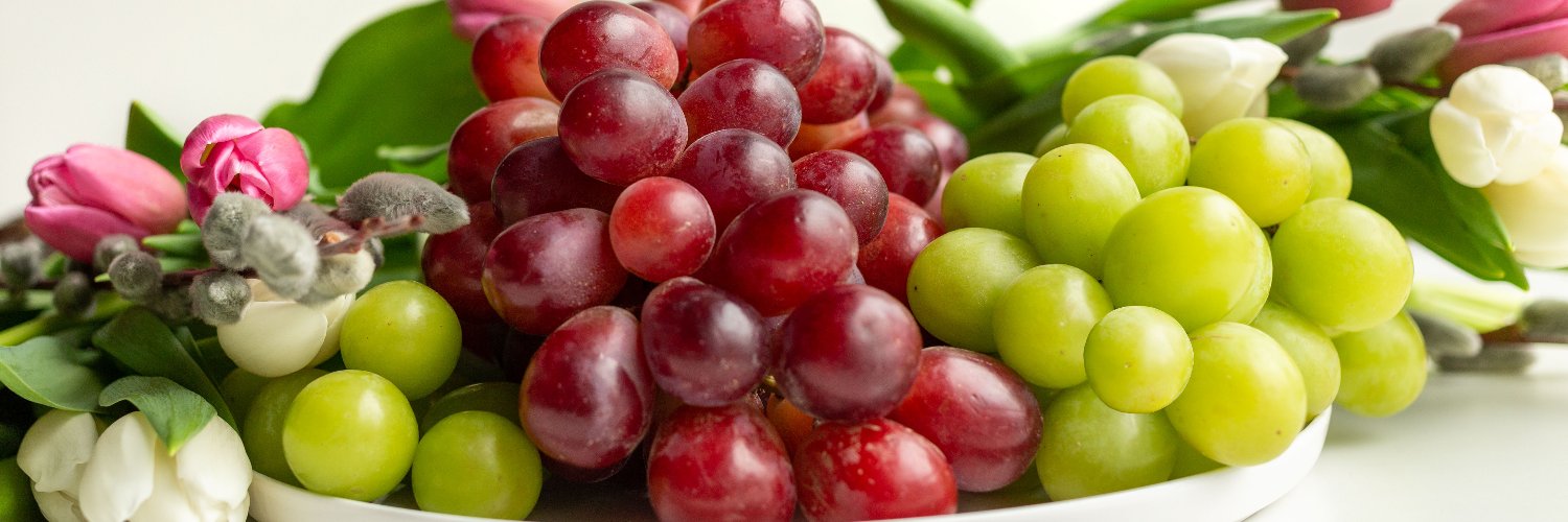 FruitsfromChile's profile banner image