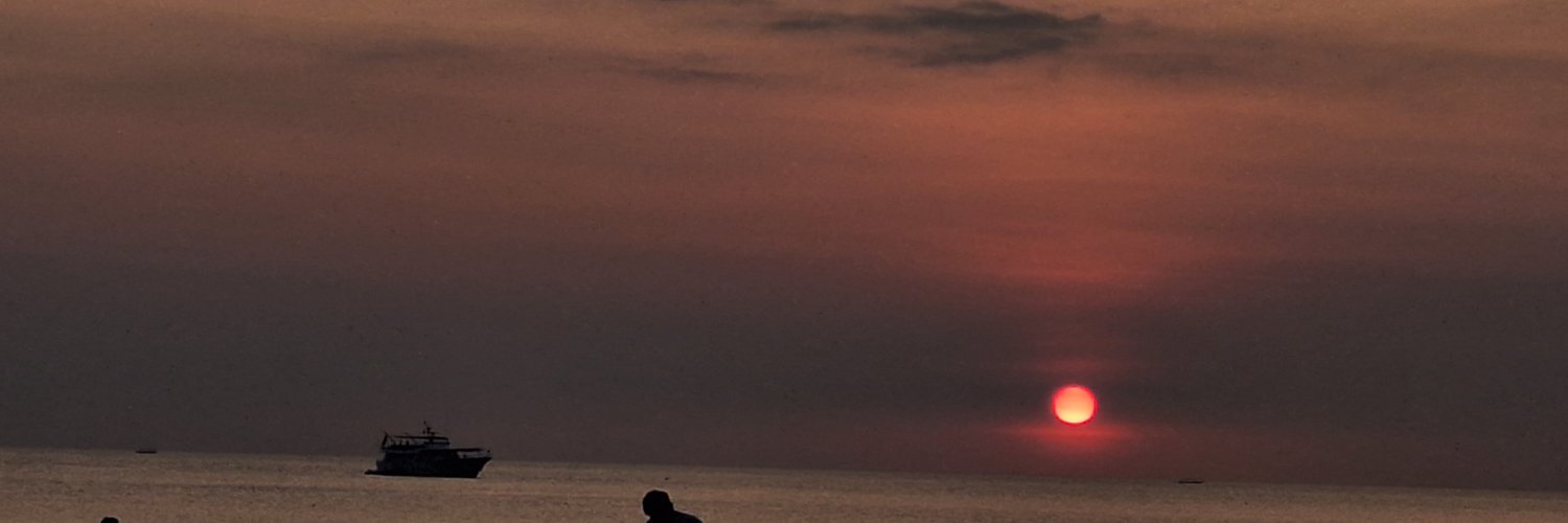 cuccicoo's profile banner image