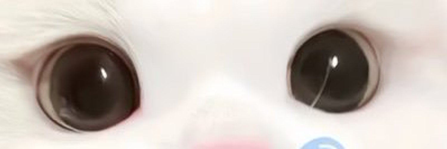 ektorf29's profile banner image