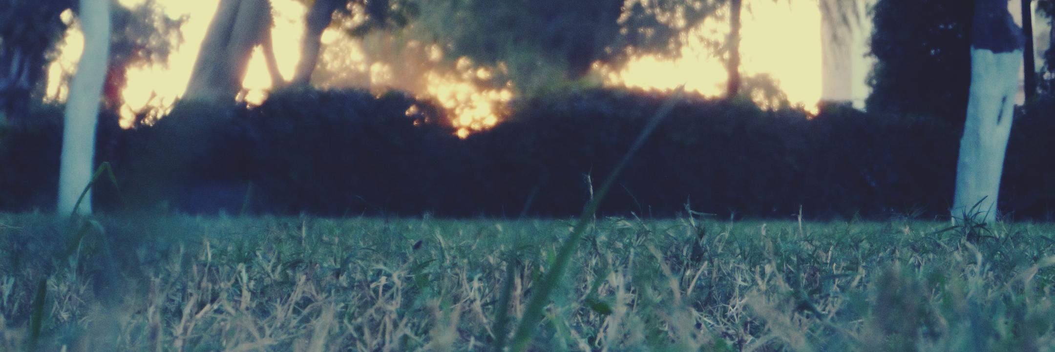 danimrg96's profile banner image