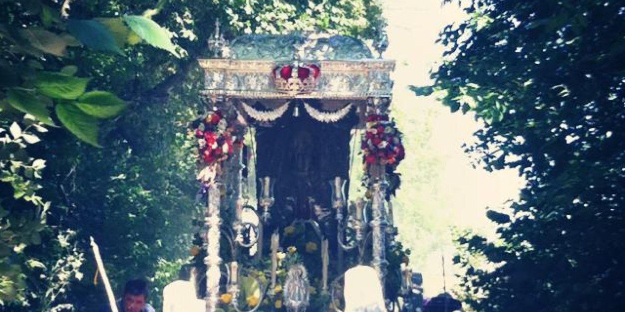 carlo guardado palop banner