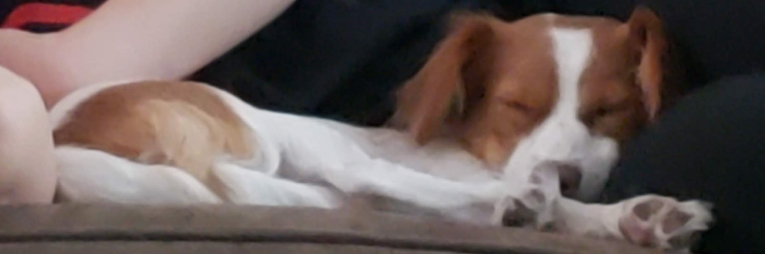 christiand409's profile banner image