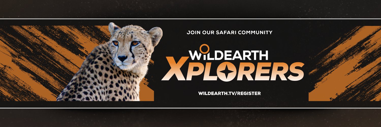 WildEarth's profile banner image