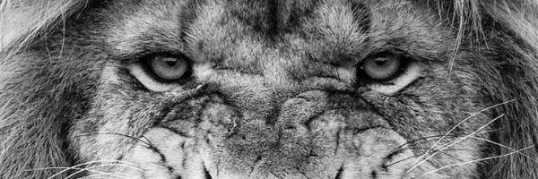 kenethelion Profile Banner