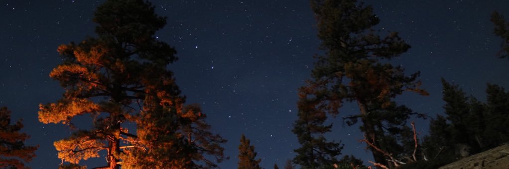 ScottyRog_41's profile banner image