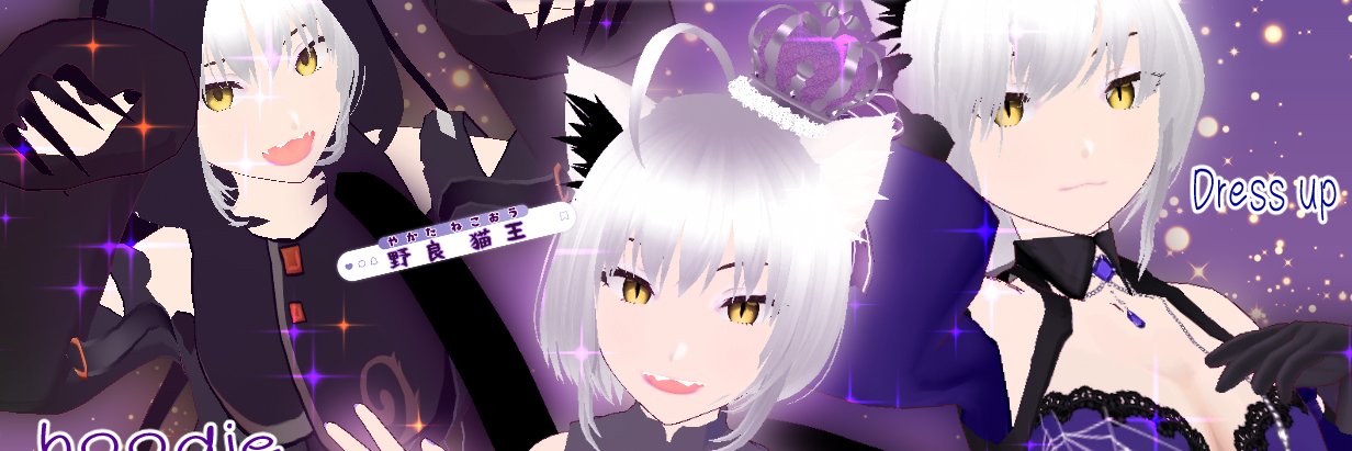 nekoou_'s profile banner image