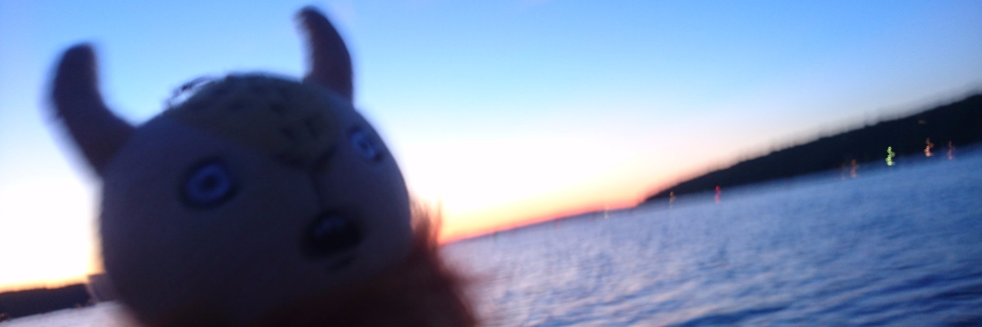 chonpskz's profile banner image