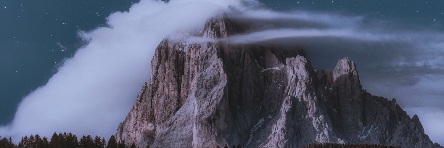 Zebrains banner