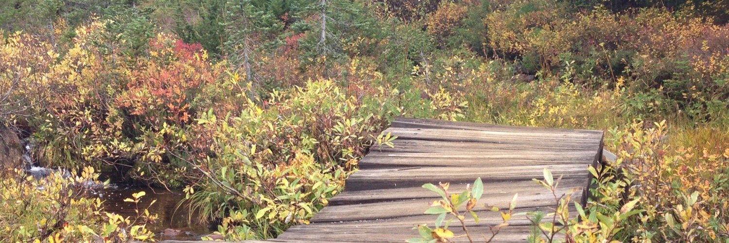 plitwin's profile banner image