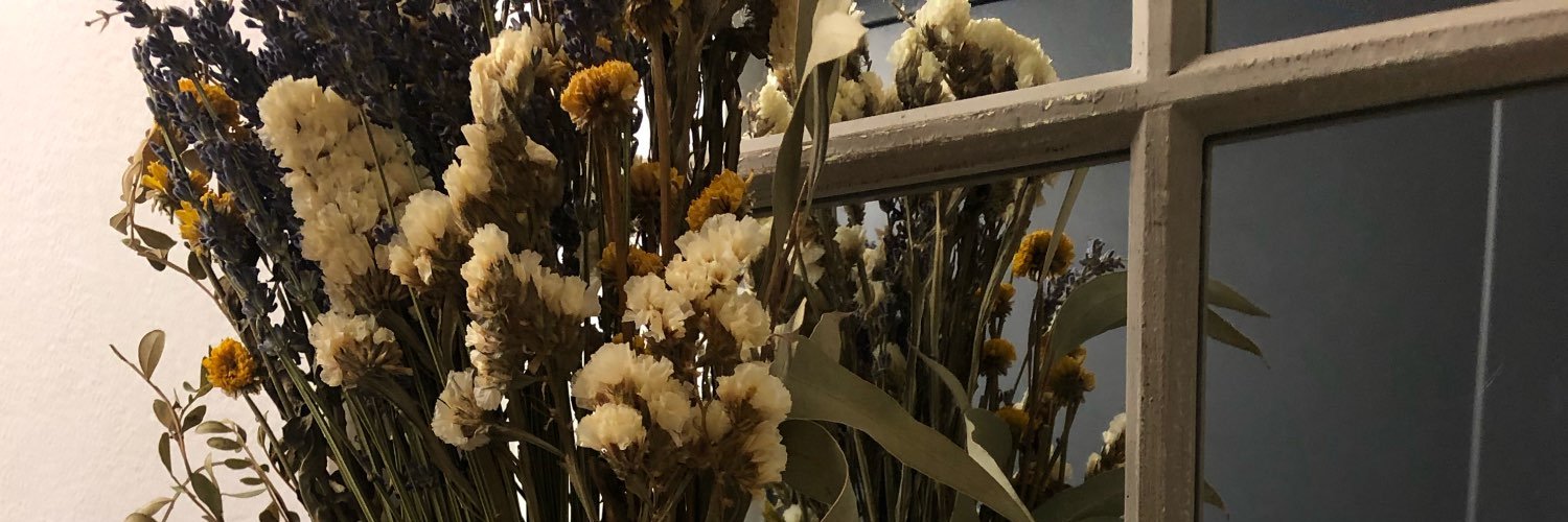 calmDAOnow's profile banner image