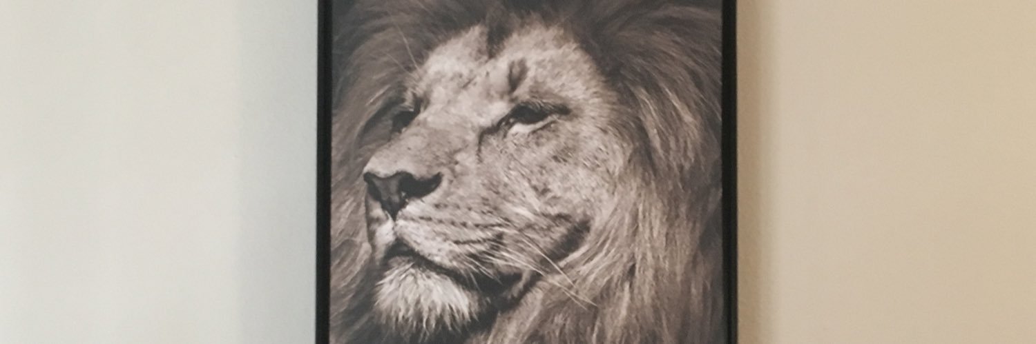 gorgioor's profile banner image