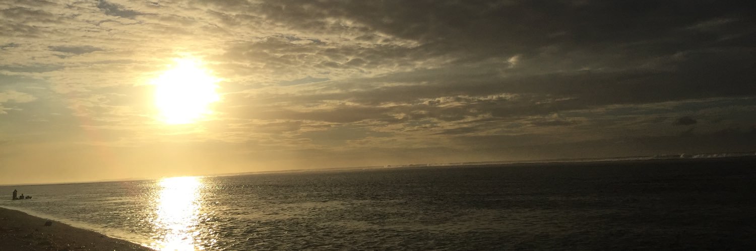 ℞_sherotonin ⌬ banner