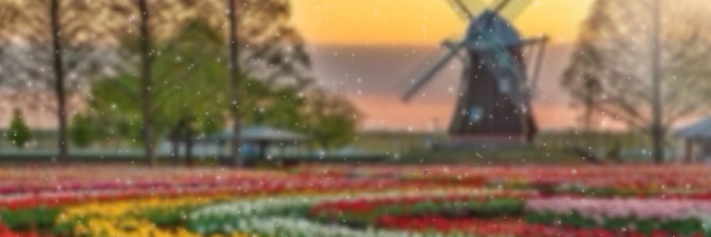 naeunleeeee's profile banner image