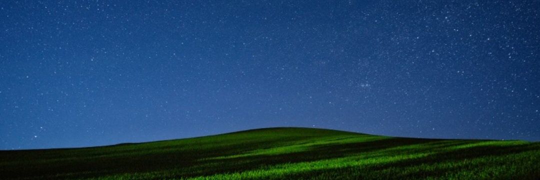 Stella banner