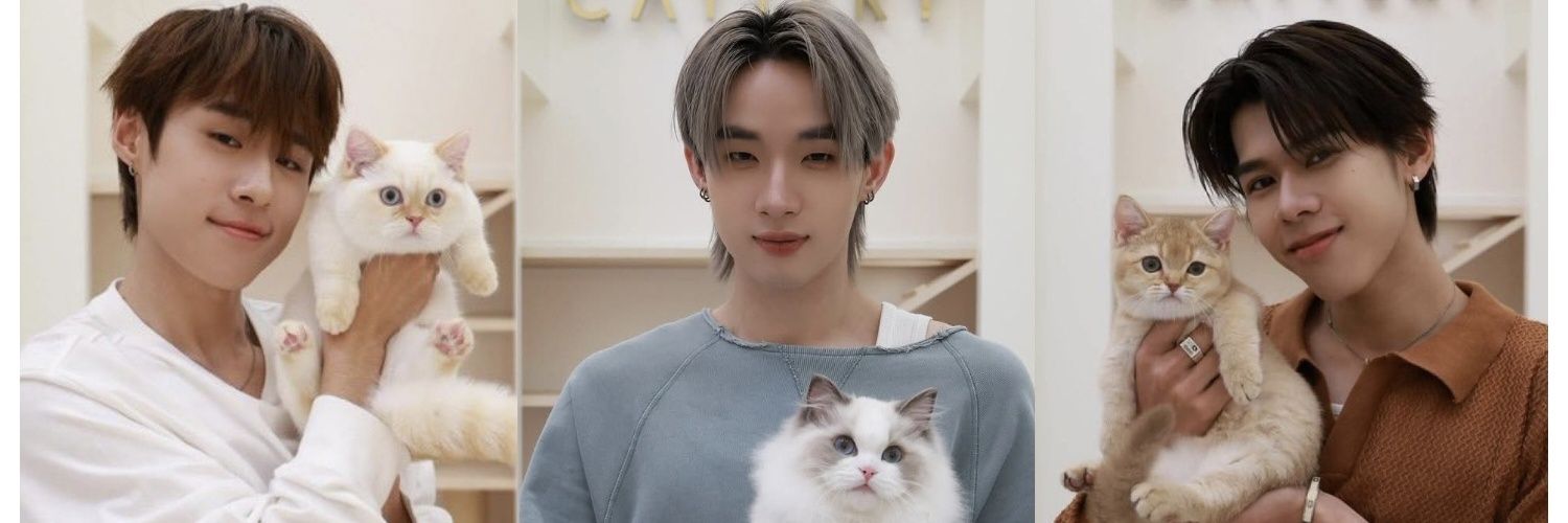 🐈🐈‍⬛🐁Aomaem🐁🐈‍⬛🐈 banner