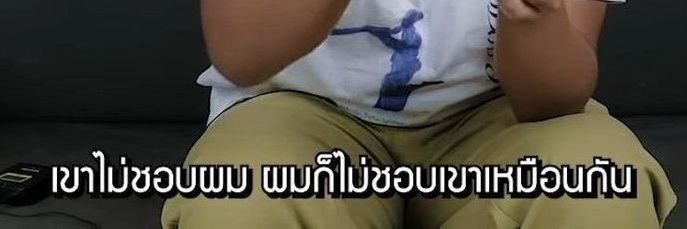 ปานฝัน banner