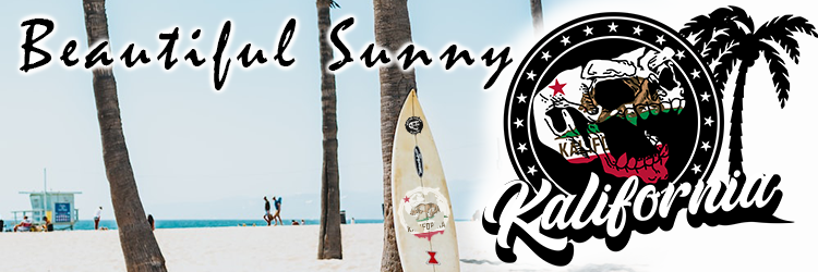 SMex banner