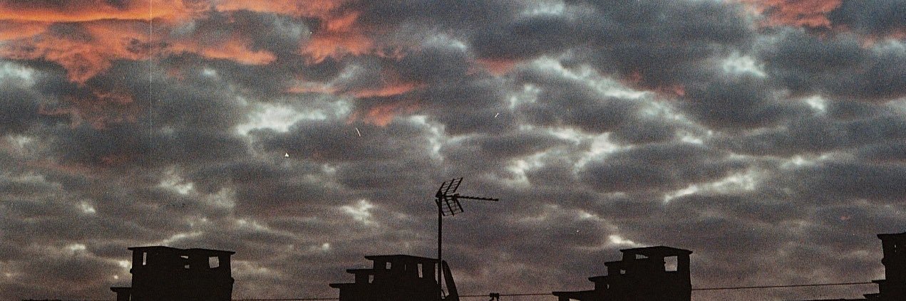 Safa ✖️Emotional Artist ✍🏻 banner