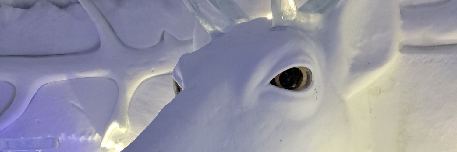 crypto collector banner