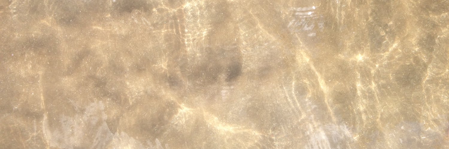 sunisacherry's profile banner image