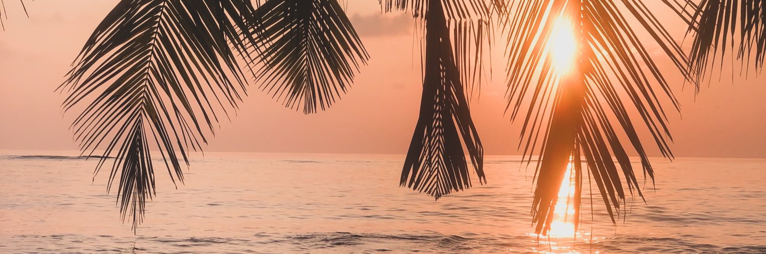 MissMonique_M's profile banner image