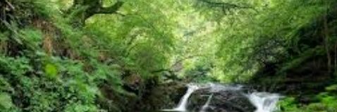 @ojancanu banner