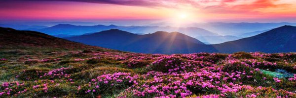 TheMaslowFound Profile Banner