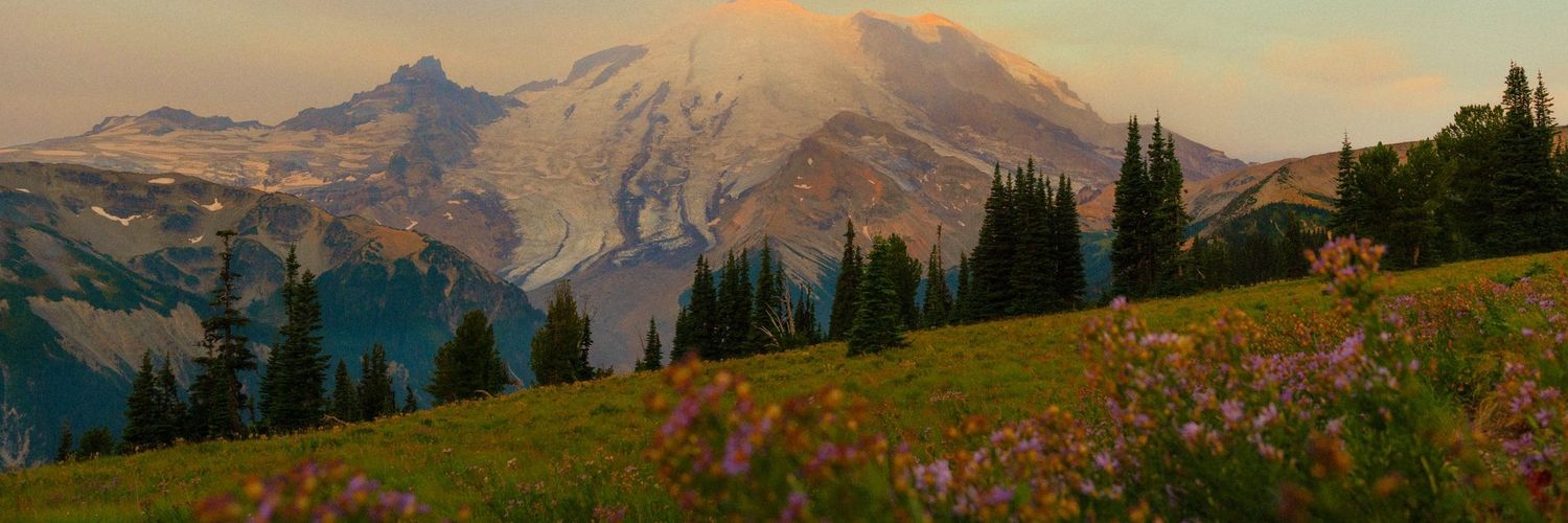 captainussopp's profile banner image