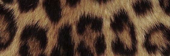 SpvbQk's profile banner image