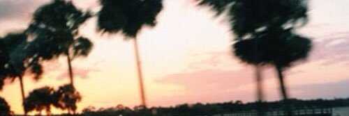 lucisanch's profile banner image