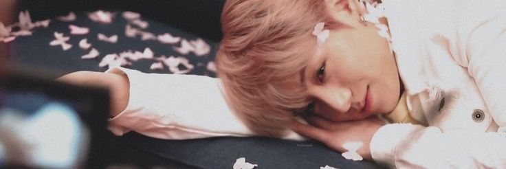 𝓋𝒶𝓁𝓁𝓁 banner