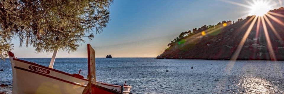 Christophe Masson banner