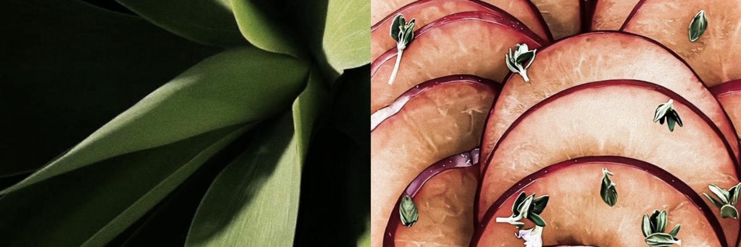 뜨거운 이슈와 아이콘 공주 .. 𝗘𝘃𝗲 | 🐈 banner