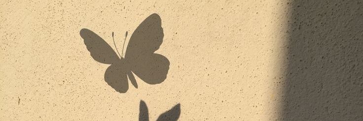 sum_tree4774's profile banner image