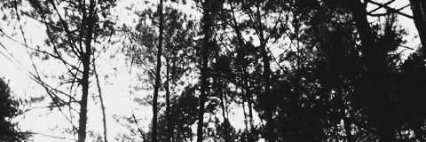putrinabilara's profile banner image
