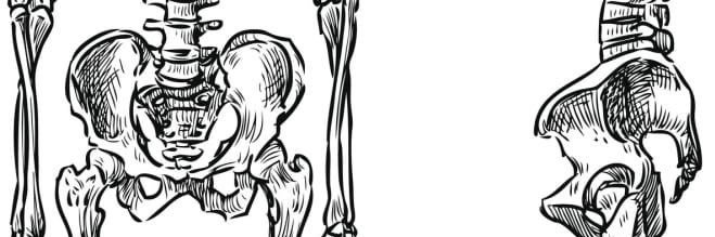 Лукас Папá banner