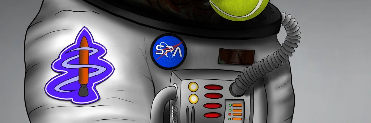 david lee" 🐝🍯 " banner