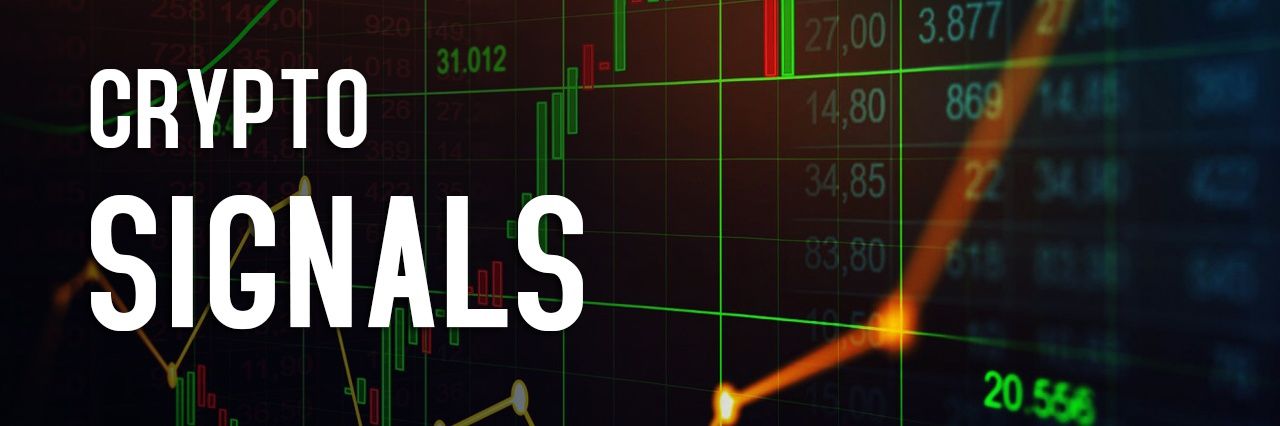 Signals2022's profile banner image