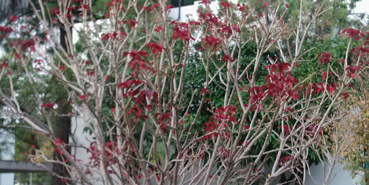BrYsV's profile banner image