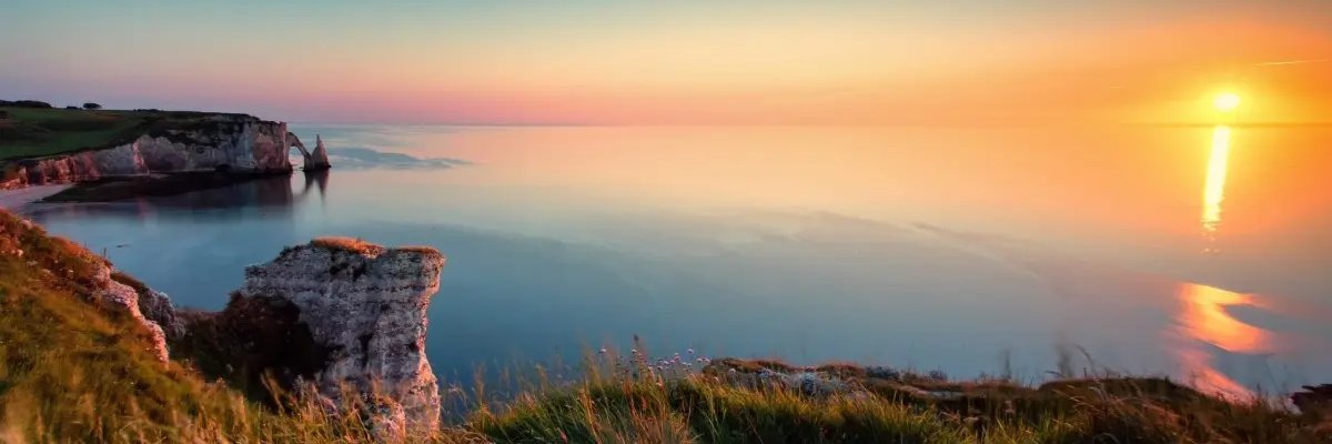 Alex.pro banner