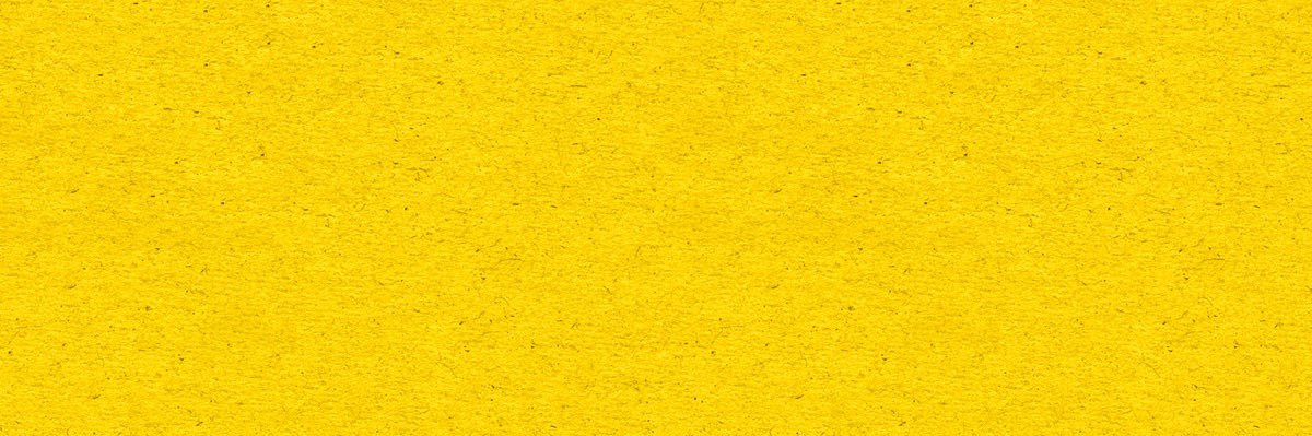 TORONTO HARDCORE banner