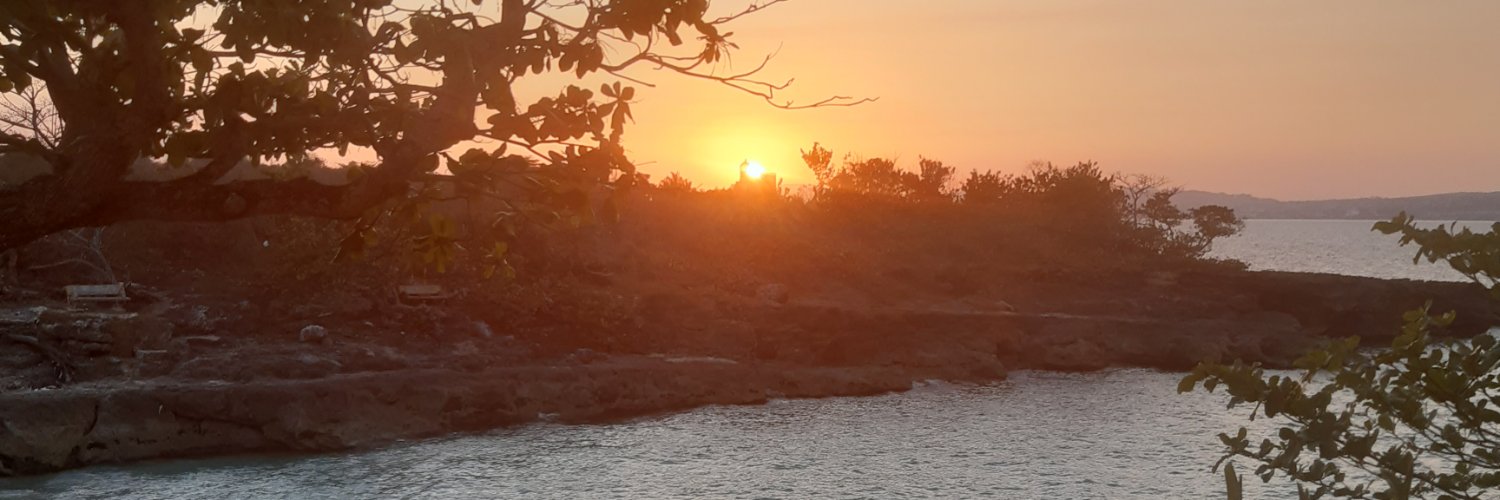 Silenay8003 banner