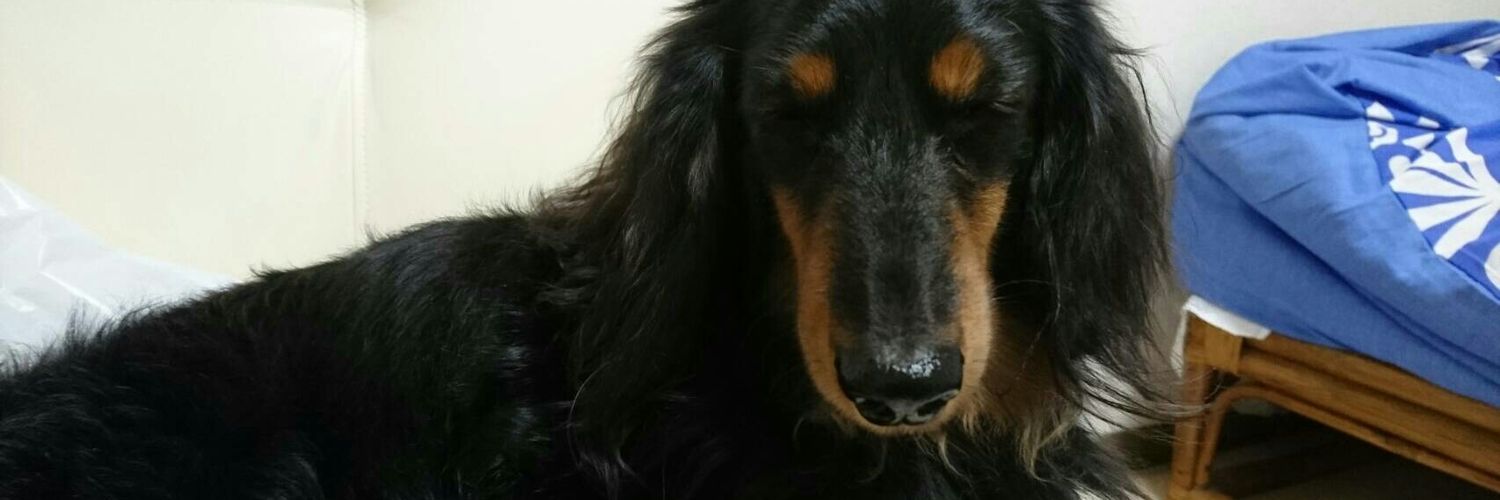 winkle777's profile banner image