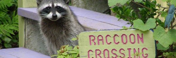 uglyspeckles Profile Banner