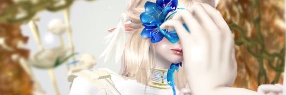 𝔼𝕃𝕃.🥟 banner